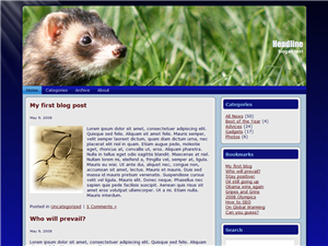 Wild Ferret Free Wordpress Theme